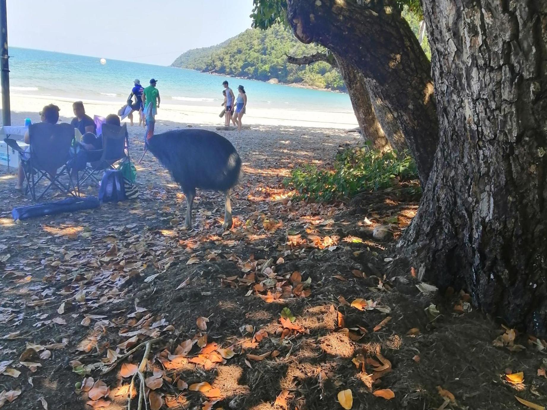 Possum Stay Innisfail Esterno foto